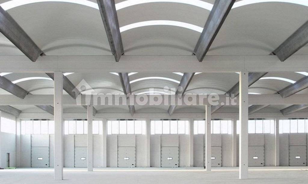 immagine annuncio 2 di 3