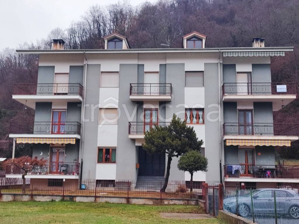 immagine annuncio 1 di 14