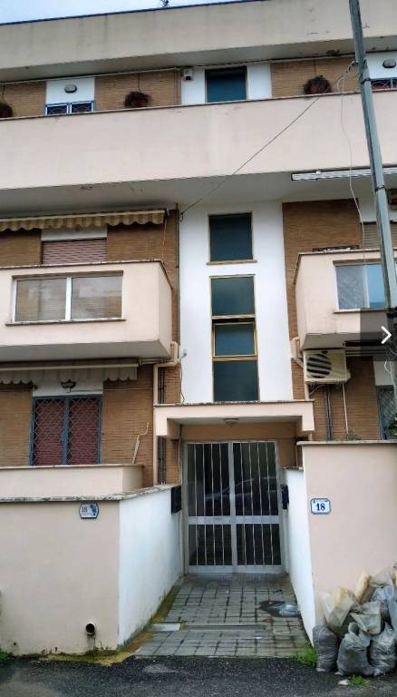 immagine annuncio 11 di 13