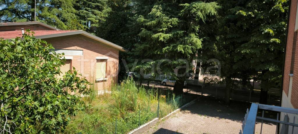 immagine annuncio 9 di 13