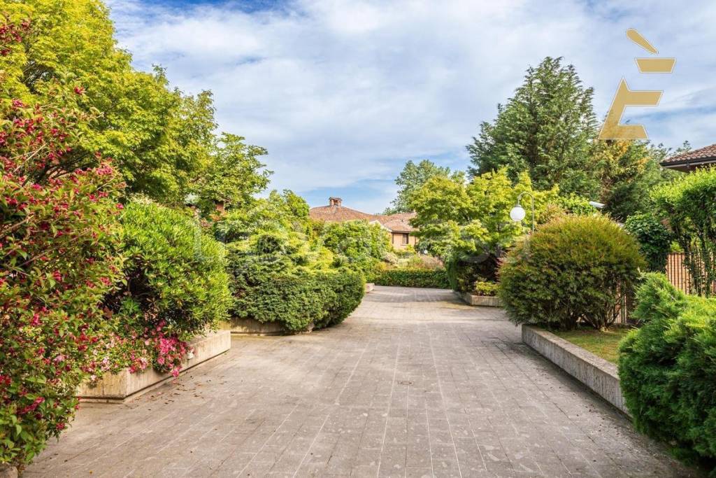 immagine annuncio 4 di 6