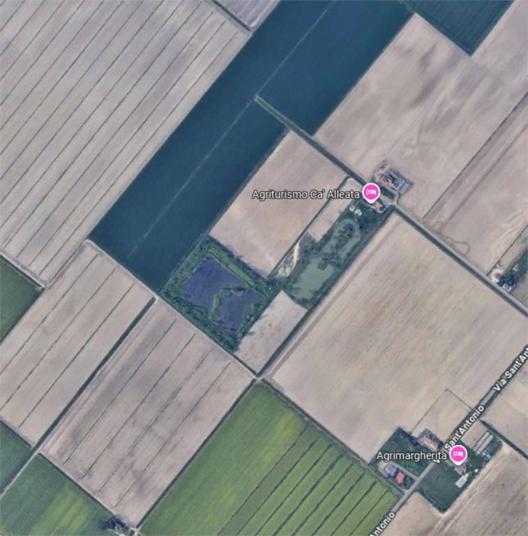 immagine annuncio 3 di 12