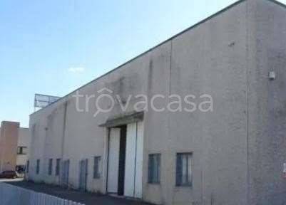 immagine annuncio 2 di 9