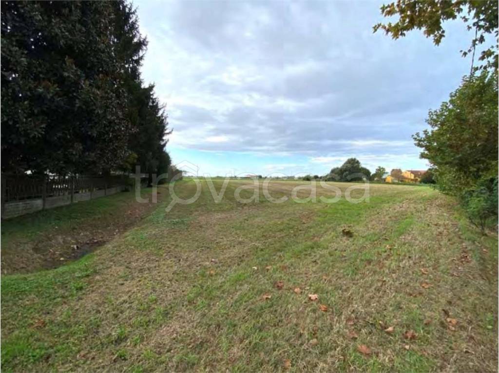 immagine annuncio 4 di 13