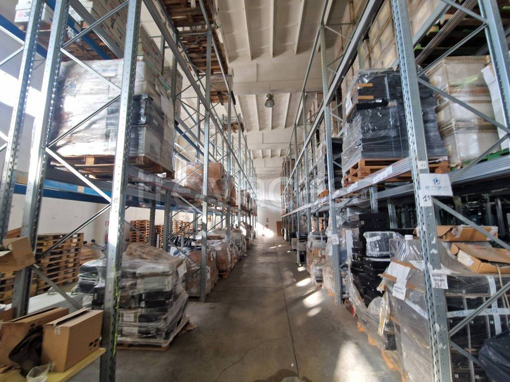 immagine annuncio 11 di 15