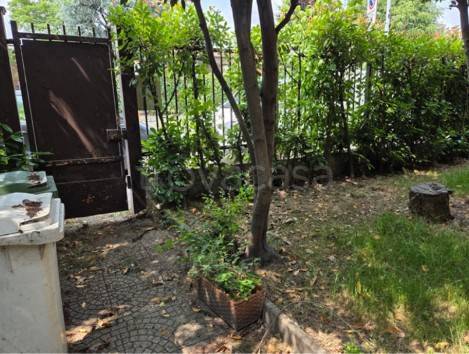 immagine annuncio 1 di 14