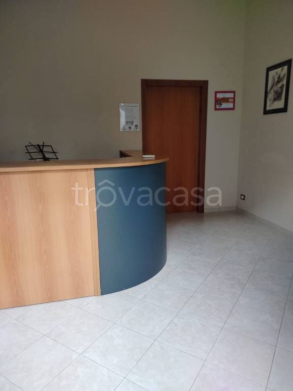 immagine annuncio 7 di 13