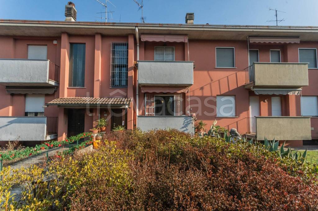 immagine annuncio 1 di 15