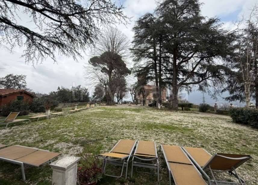 immagine annuncio 11 di 14