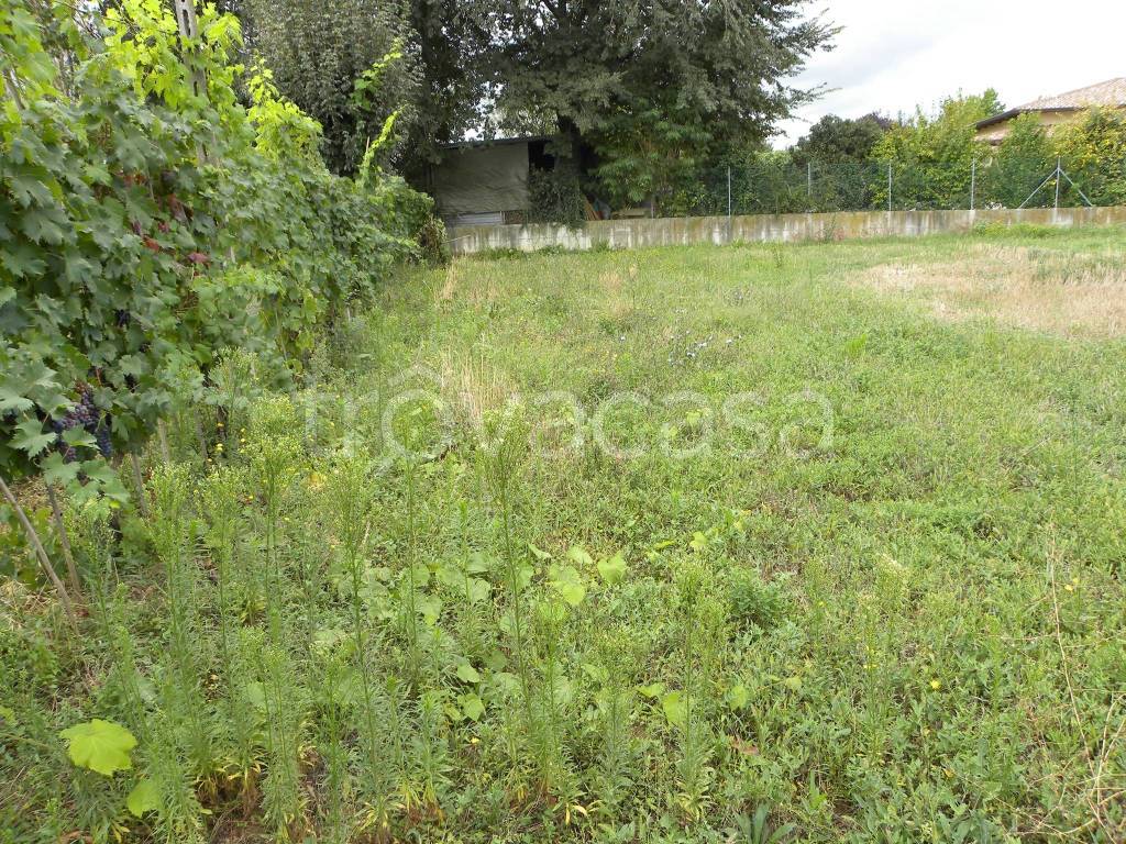 immagine annuncio 5 di 7