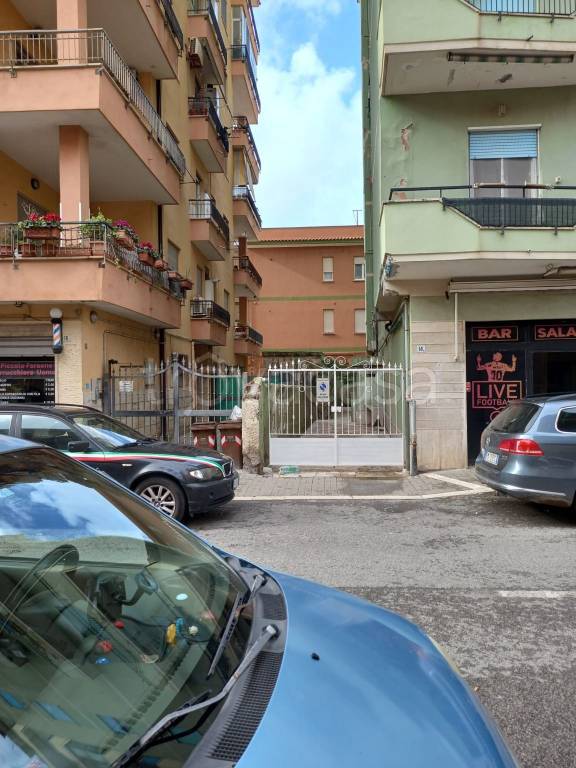 immagine annuncio 12 di 15