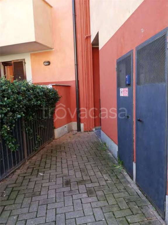 immagine annuncio 5 di 15