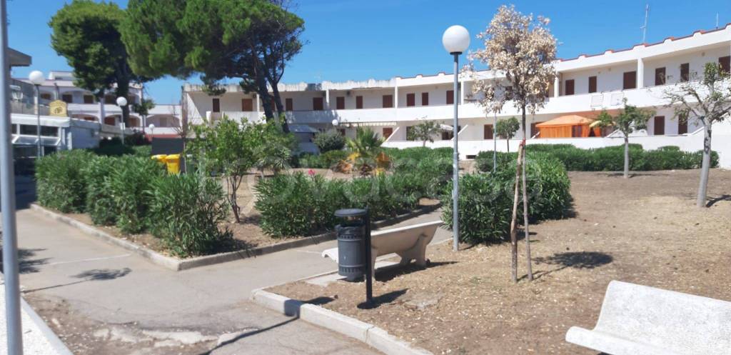 immagine annuncio 10 di 12