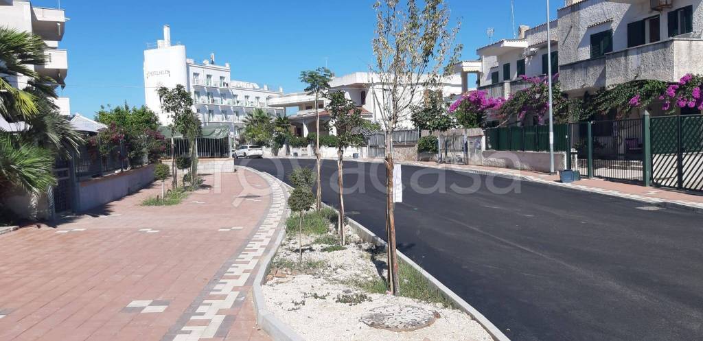 immagine annuncio 7 di 14