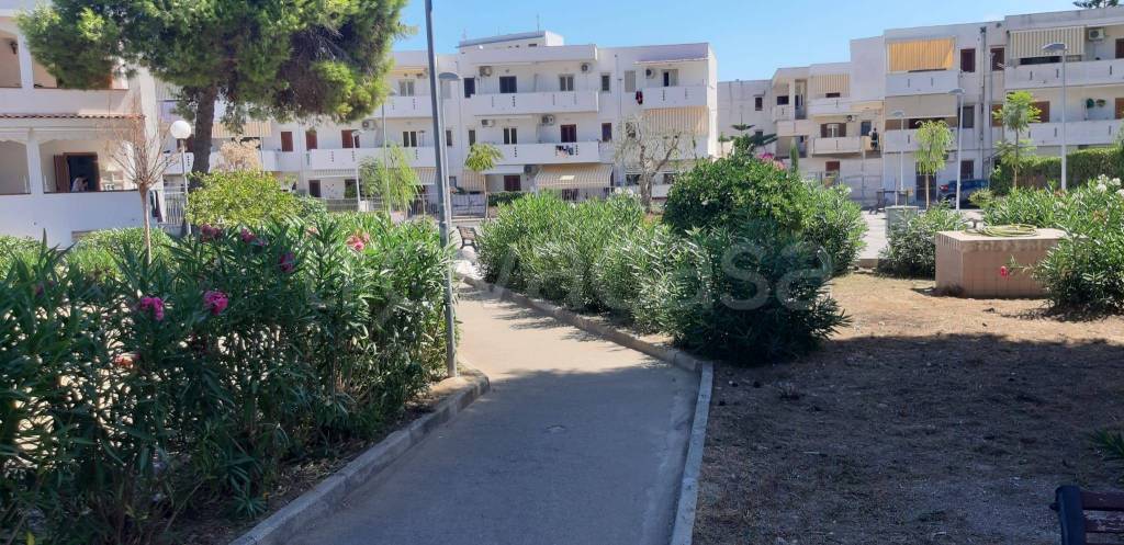 immagine annuncio 8 di 14