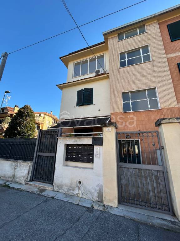 immagine annuncio 9 di 12