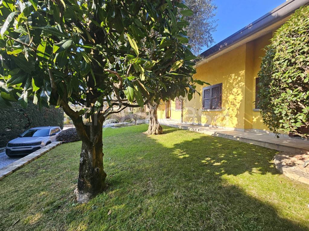 immagine annuncio 4 di 15