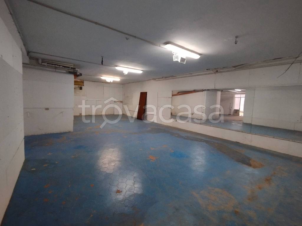 immagine annuncio 5 di 11