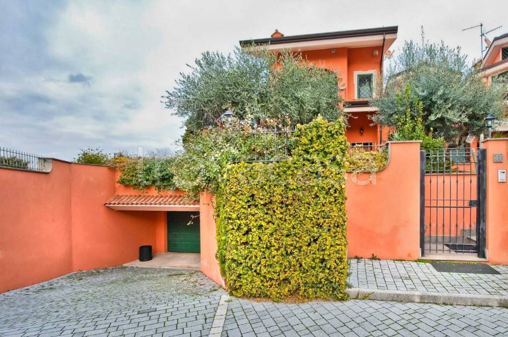 immagine annuncio 3 di 15