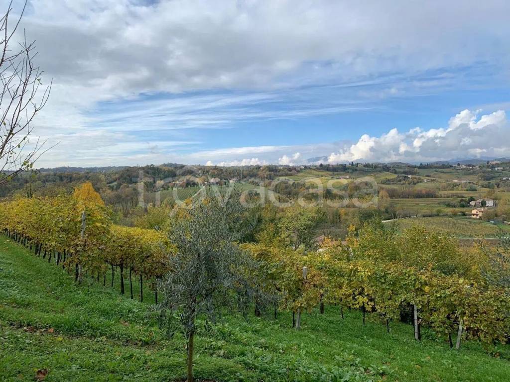 immagine annuncio 4 di 7