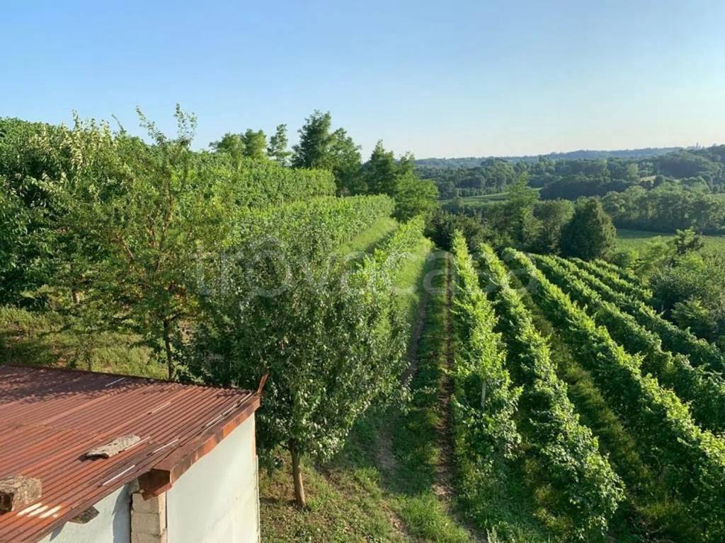 immagine annuncio 6 di 7