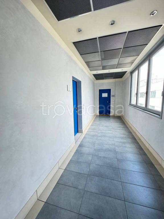 immagine annuncio 4 di 8