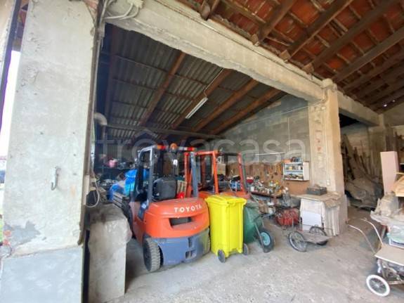 immagine annuncio 10 di 14