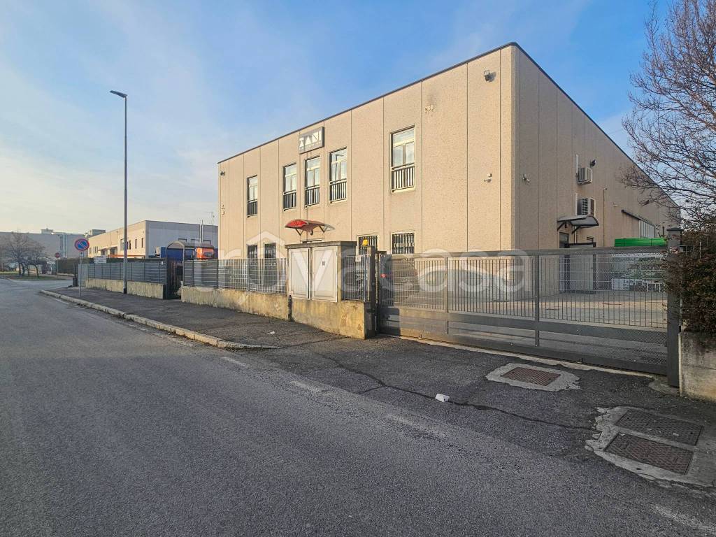 immagine annuncio 3 di 15