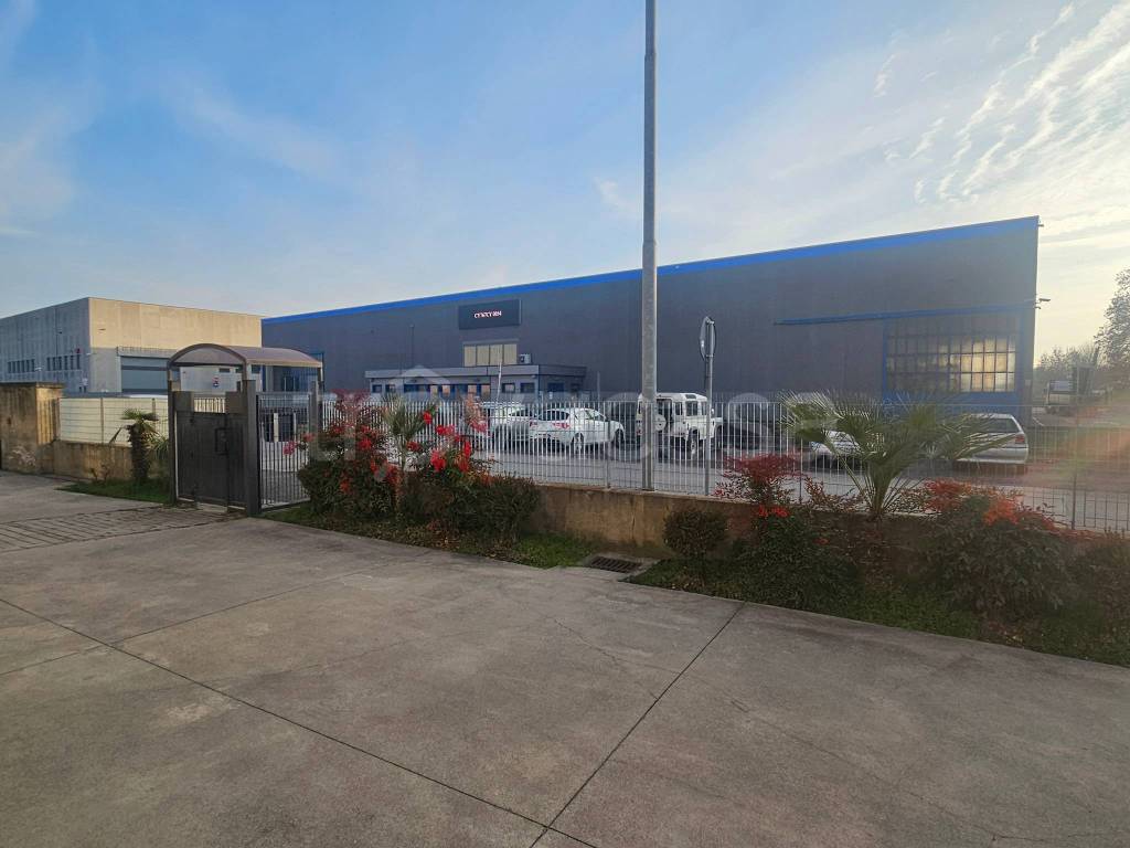 immagine annuncio 12 di 15