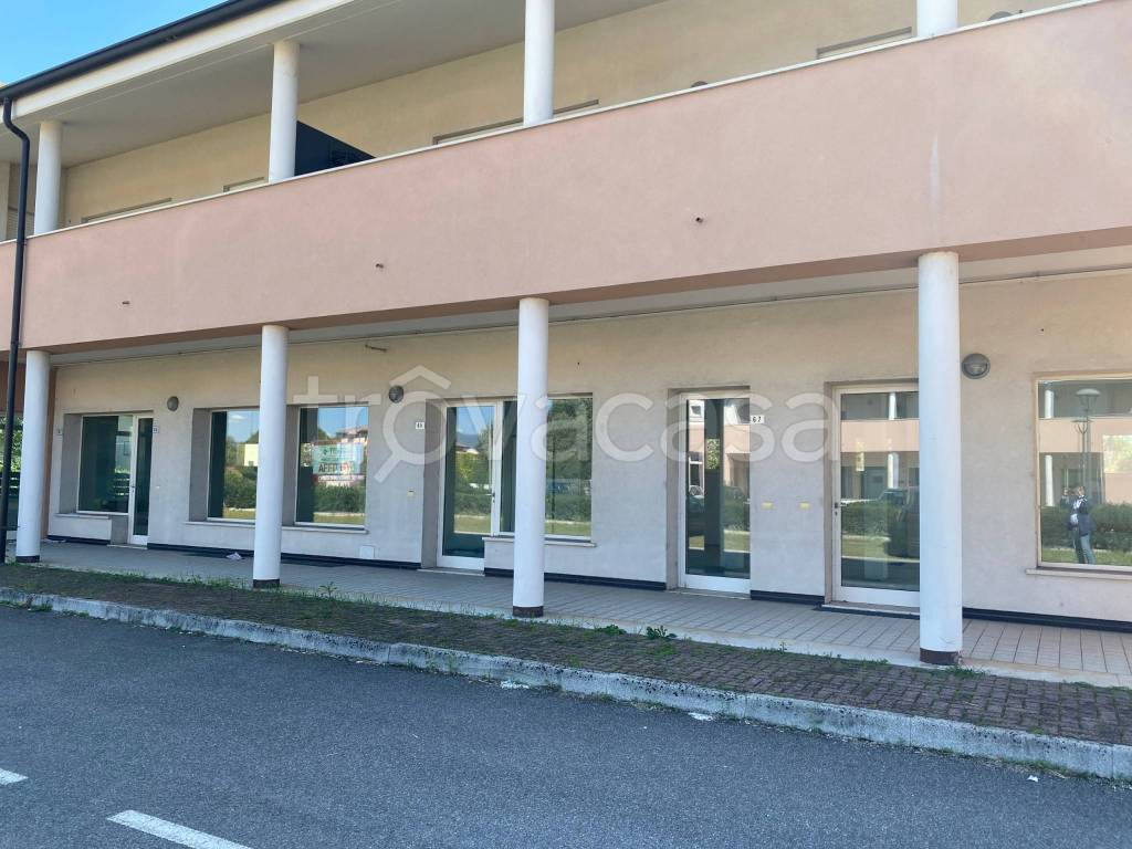 immagine annuncio 11 di 12