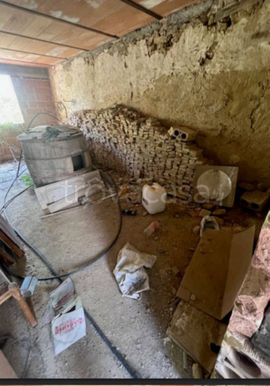 immagine annuncio 5 di 13