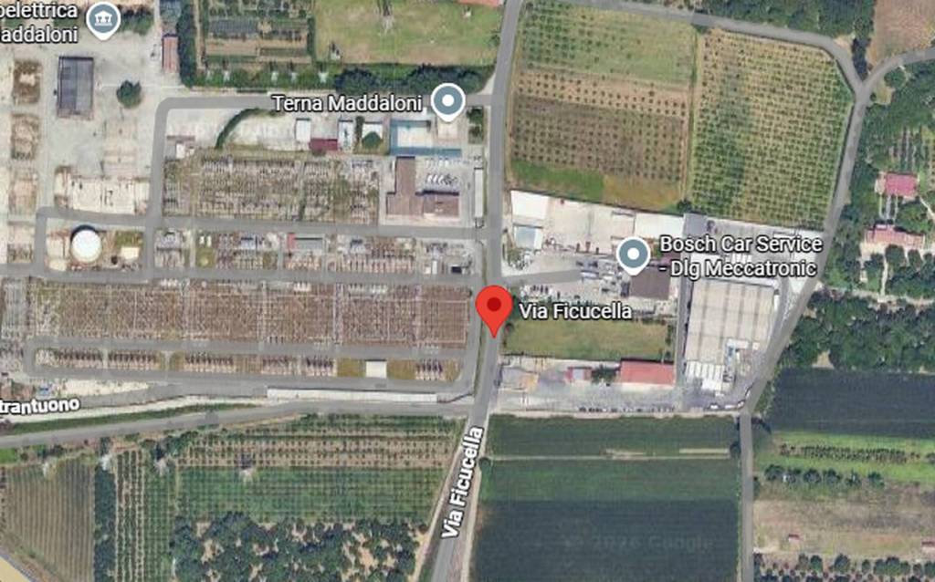 immagine annuncio 1 di 11