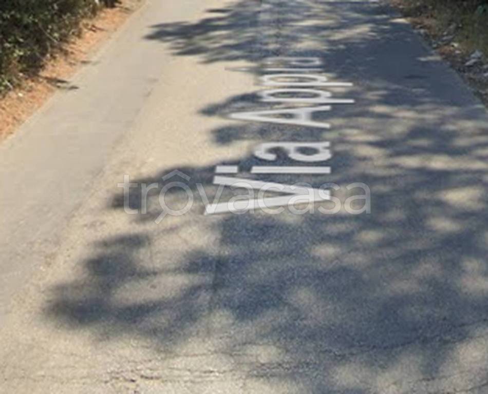 immagine annuncio 9 di 12