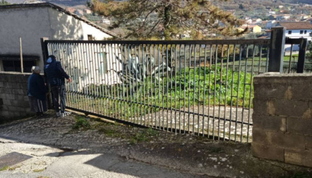 immagine annuncio 2 di 11