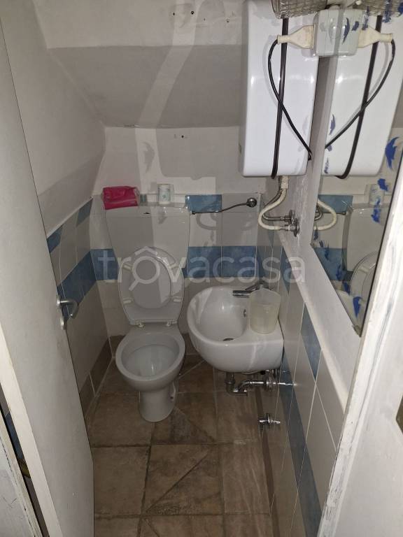 immagine annuncio 11 di 14