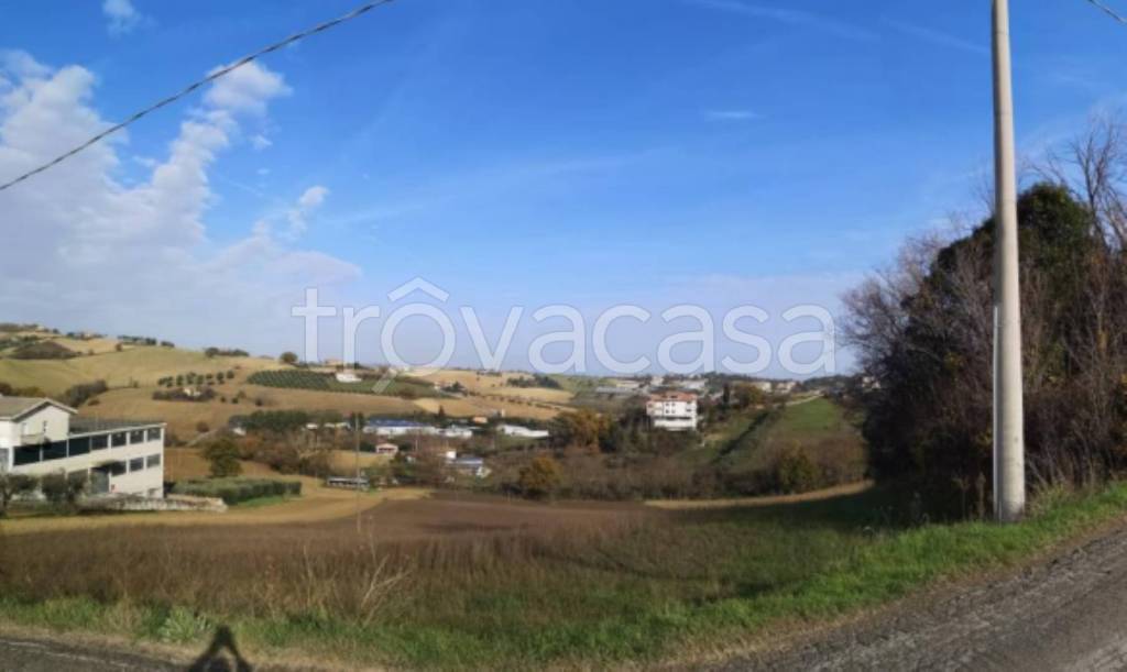 immagine annuncio 3 di 11