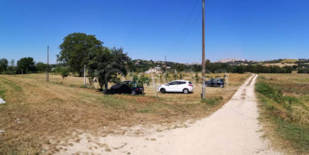 immagine annuncio 5 di 11