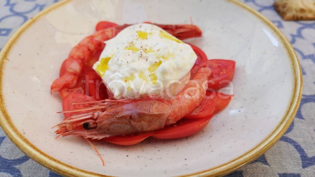 immagine annuncio 4 di 14