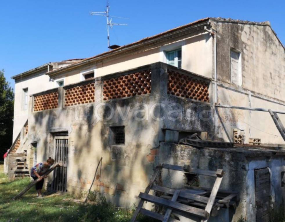 immagine annuncio 9 di 11