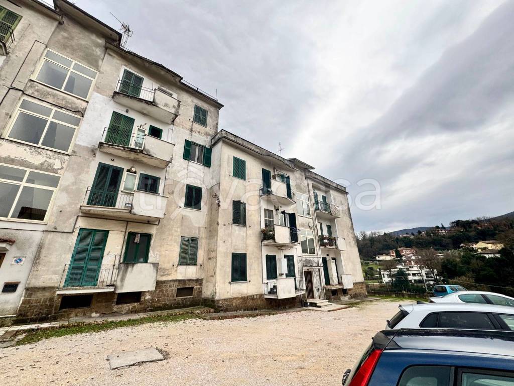 immagine annuncio 1 di 14