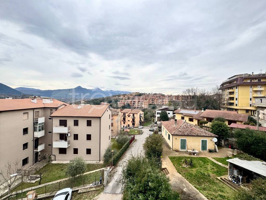 immagine annuncio 7 di 14