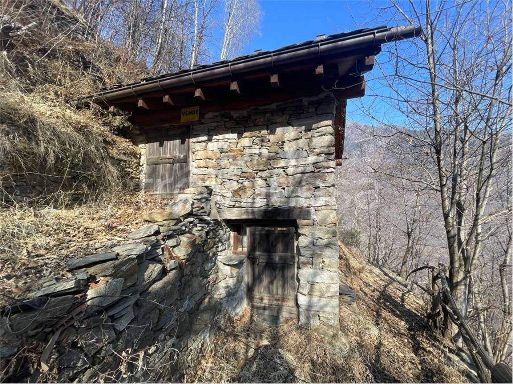 immagine annuncio 1 di 14