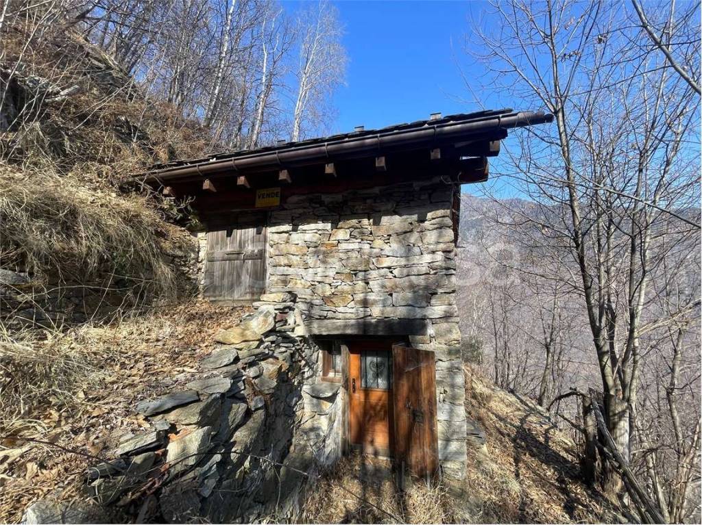 immagine annuncio 2 di 14