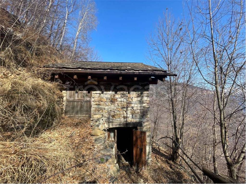 immagine annuncio 6 di 14