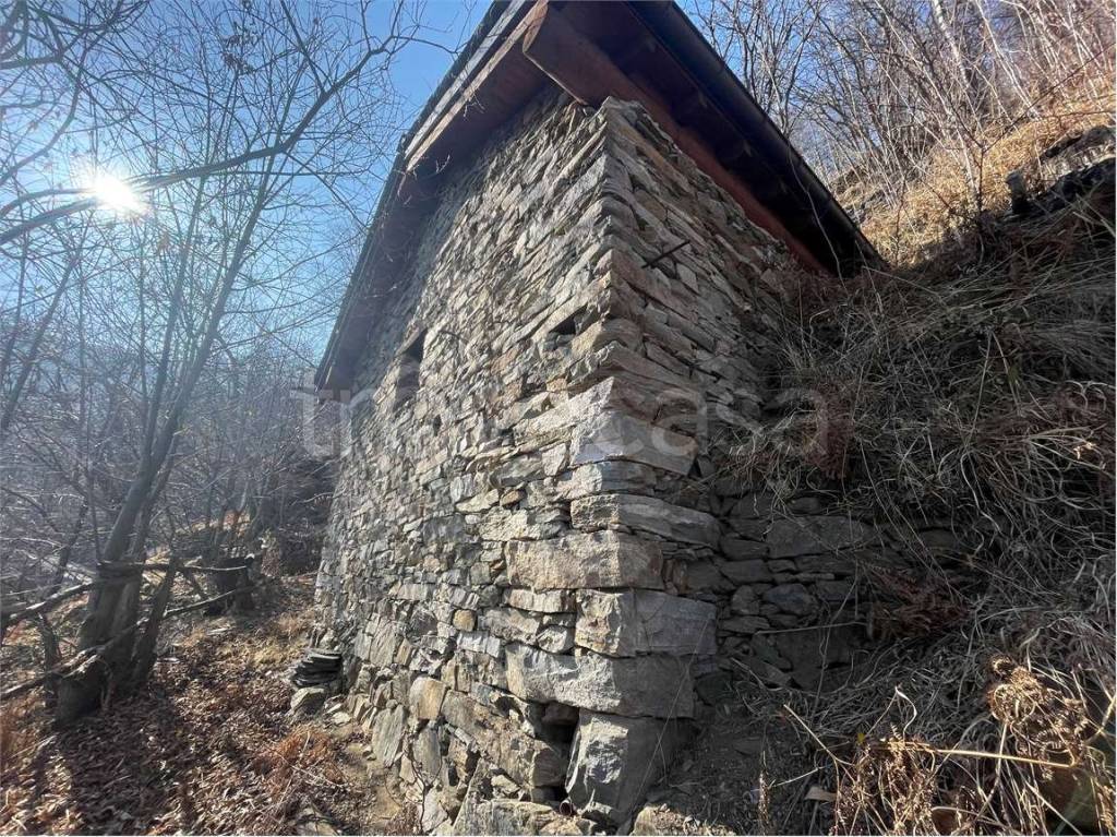 immagine annuncio 7 di 14