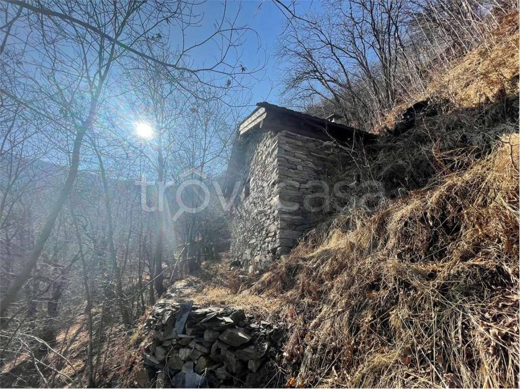 immagine annuncio 8 di 14