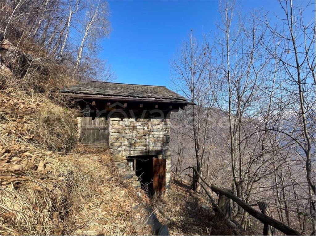 immagine annuncio 9 di 14