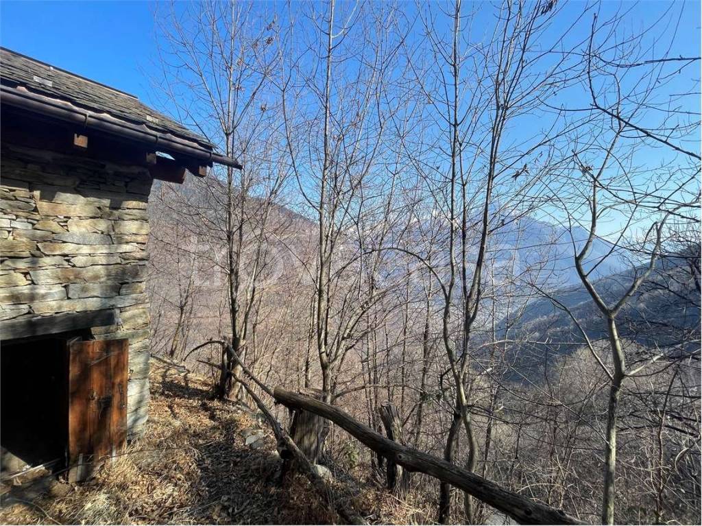 immagine annuncio 10 di 14