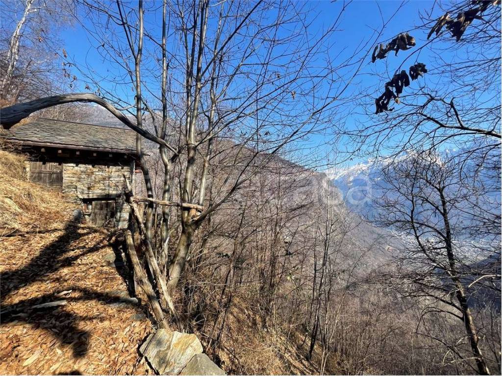 immagine annuncio 11 di 14