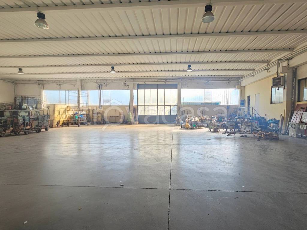 immagine annuncio 5 di 15